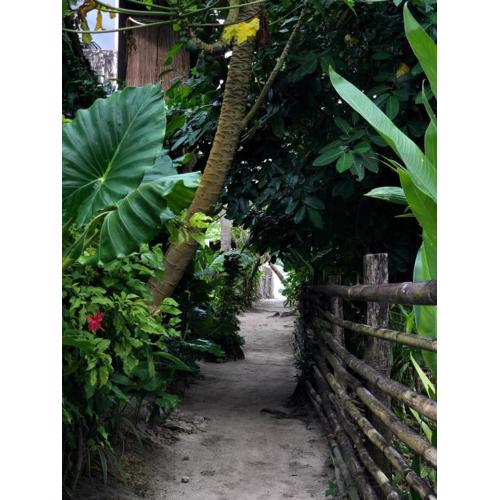 Tuason Inn at Tuason Point Surfing Spot, General Luna