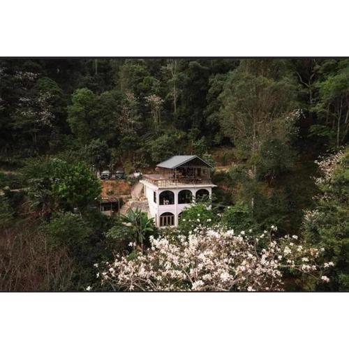 Tumnanbanpok ตำนานบ้านป๊อก