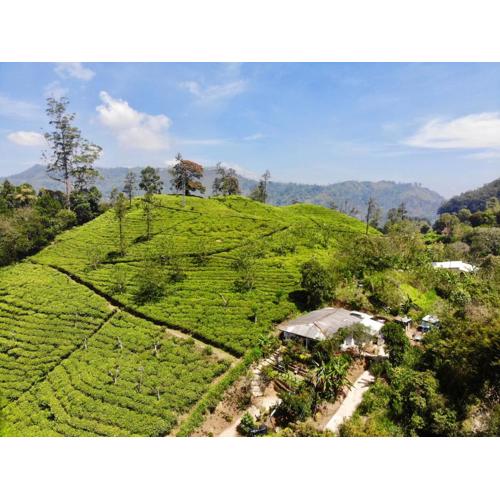 Tunnel Gap Homestay
