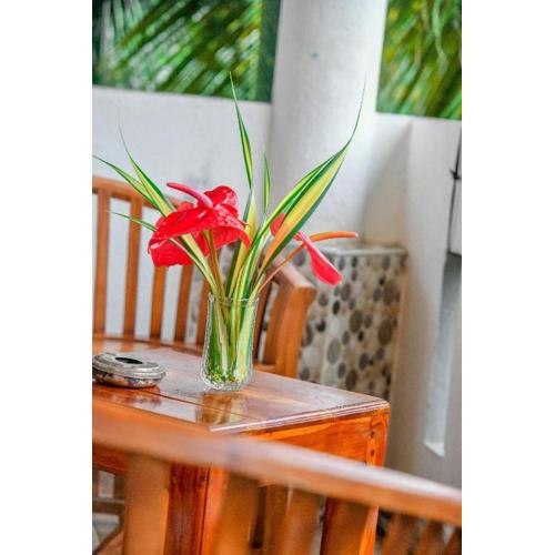 Turtle cove residence