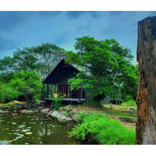 Turtle Pond Wilpattu