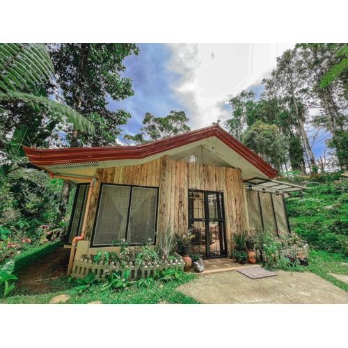 TwinkleVille Christmas-Themed Cottage