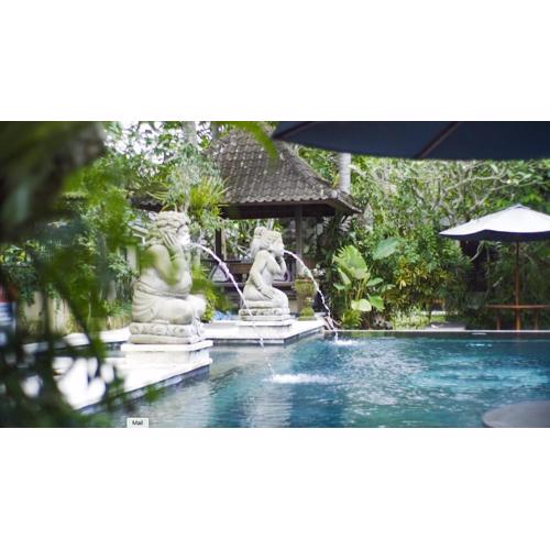 Ubud Aura Wellness Sanctuary