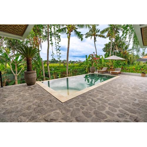 Ubud Green Escape, Amazing view