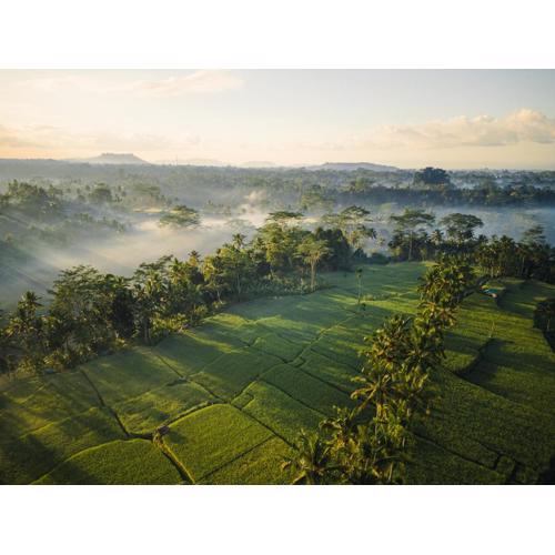 Ubud Mas Glamping Luxury Tent