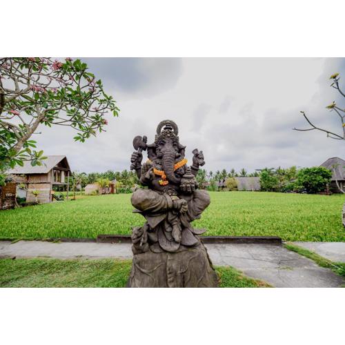 Ubud Rice Field Stay by WAHM Hotel Management