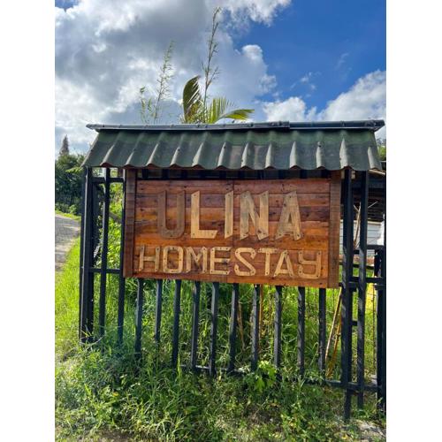 Ulina Homestay VIP Berastagi