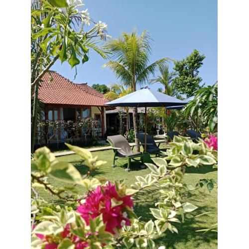 Uma Desa - Surf And Stay Medewi