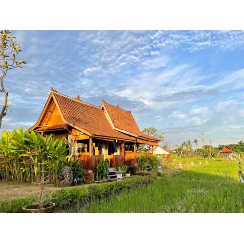 Uma Padi Cabin Umalas Bali