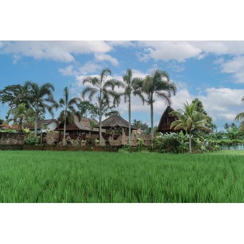 Umadesa Villa Tegallalang Ubud