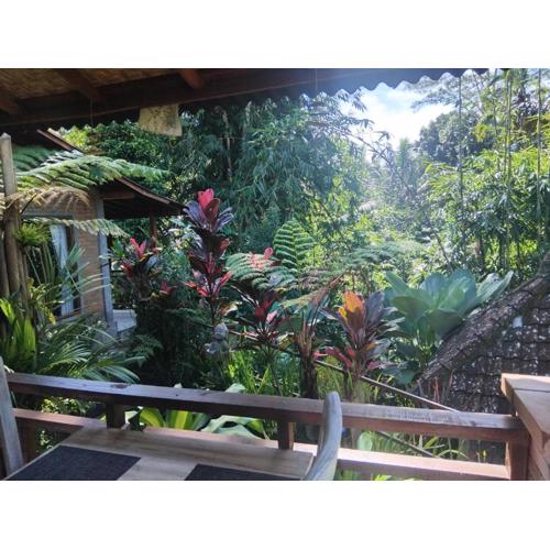 Umah mimpi deluxe room