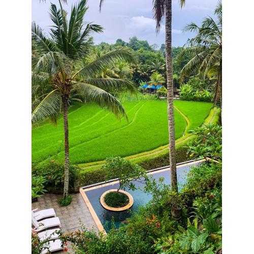 Umasari Rice Terrace Villa by AGATA