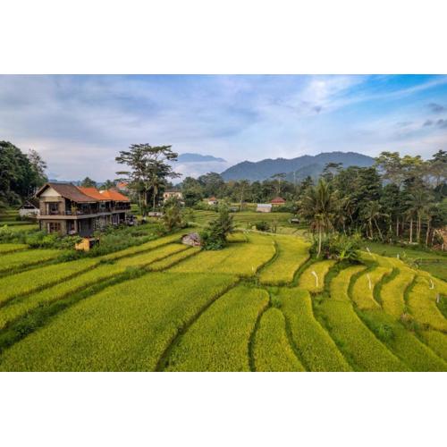 Ume Dukuh Home Sidemen