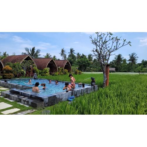 Umma Bali Menjangan Retreat