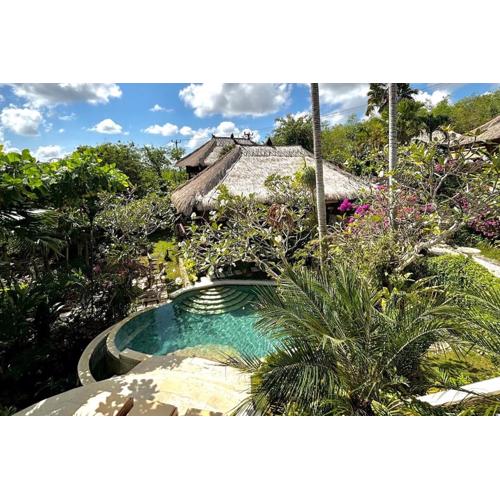 Unique tropical high class Oasis-Cook Driver Staff