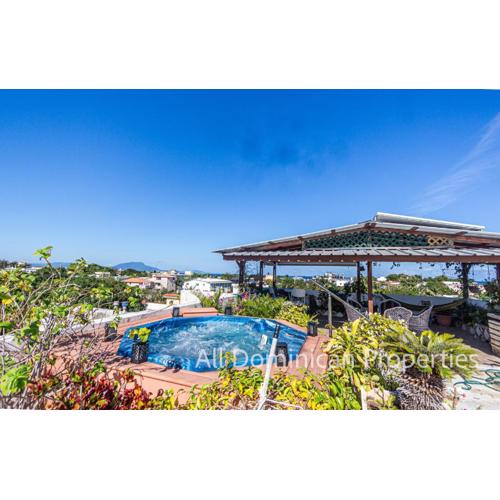 Unusual Artist's Loft with jacuzzi and Roof Terrace