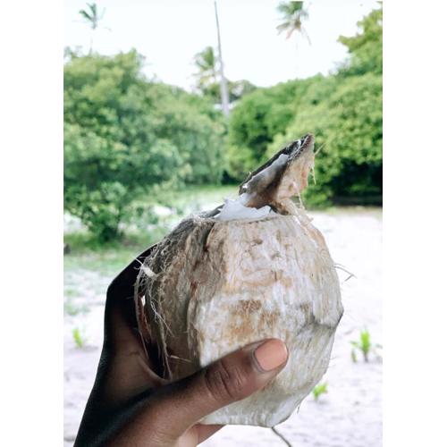 Ushongo Beach Cottages