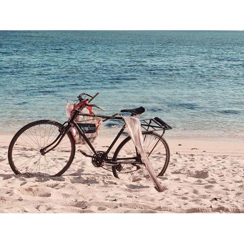 Vacation Beach House South of Mauritius - Riambel