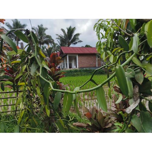 Vaniglia House Tetebatu
