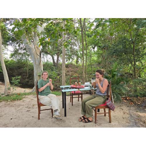 Veenora Wild - Guest House