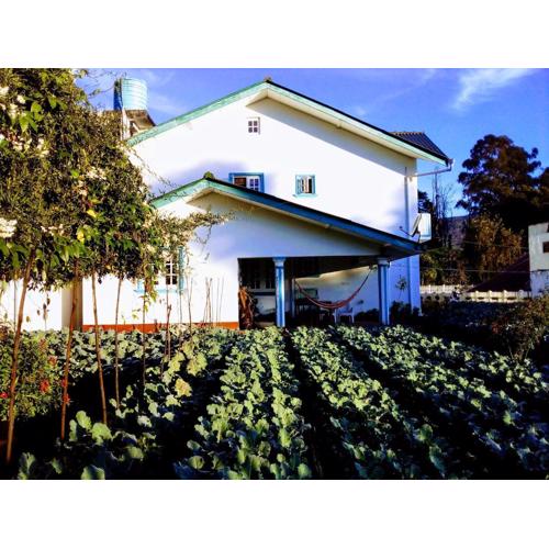 Vibe way (Hostel & Market farm)