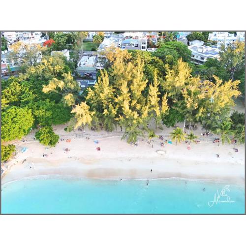 Villa Alexandria - Pereybere