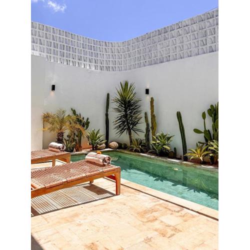 Villa Balibiza 1 Canggu