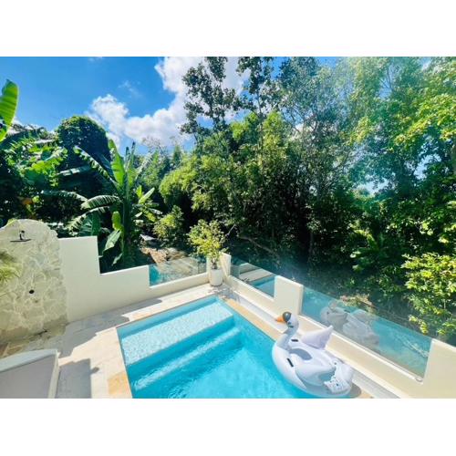 Villa Canggu Jungle - Private Luxury Villa