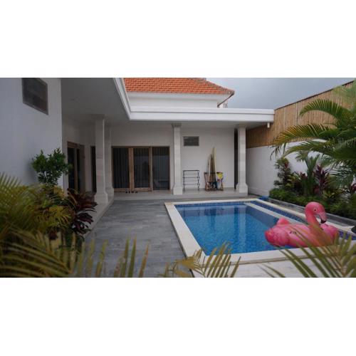 Villa Carlos, Canggu, private pool, washing machine