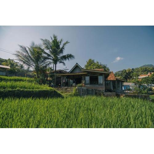 Villa Cetok Syariah - Nuansa Pedesaan