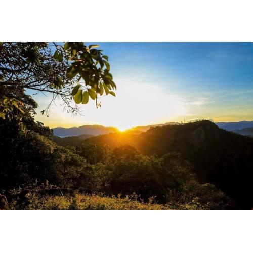 Villa De Sunrise spice garden