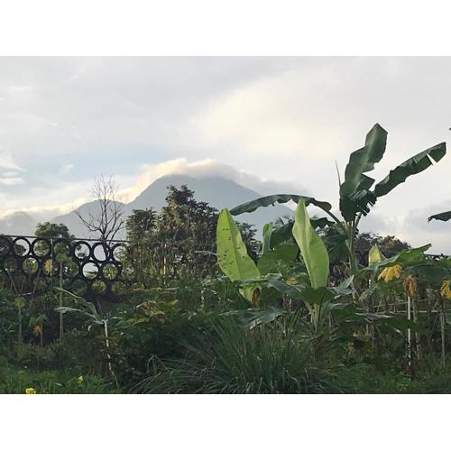 Villa EcoForest Haven 5EyesFarm