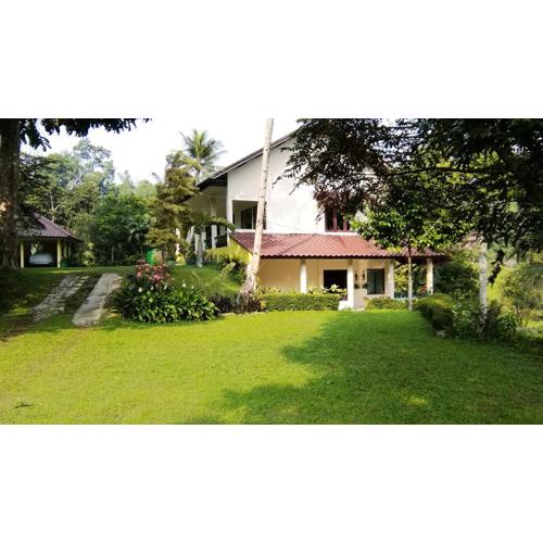 Villa (Entire) Teddy 6500m2 land@Gadog 650m above sea level.