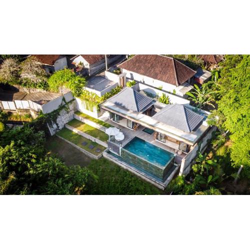 Villa Flesh by BaliSuperHost