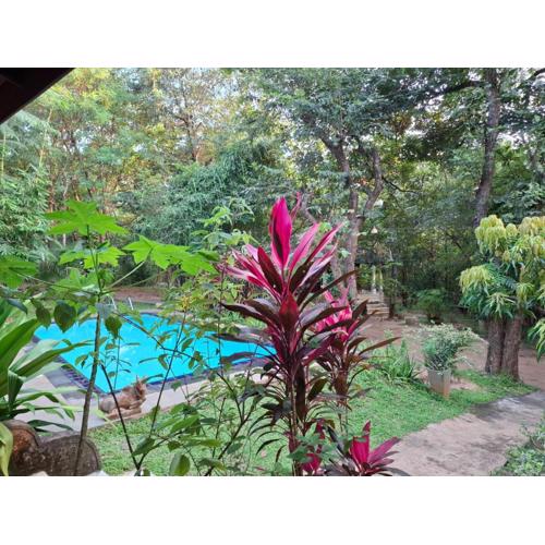 Villa Habarana