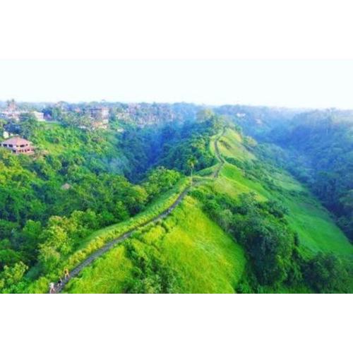 Villa Honey by Rare Angon Ubud