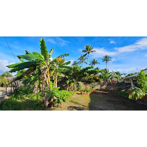 Villa Jardín Tropical