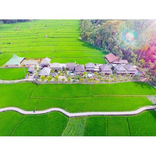 Villa JJ and Spa Ubud