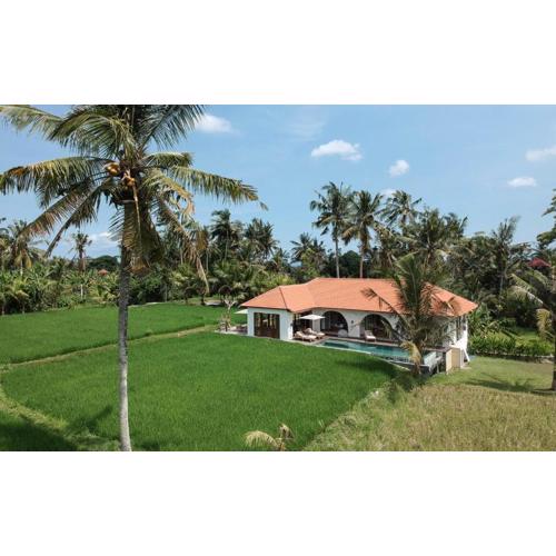 Villa Léna - 3 Bedroom Villa Amidst Ubud's Rice Fields, 180 degree View