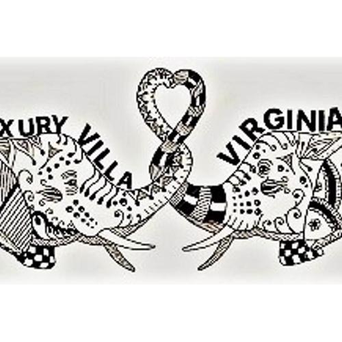 Villa Luxury Virginia With Pool and garden