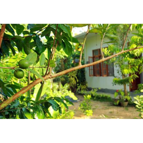 Villa Nature's Bounty