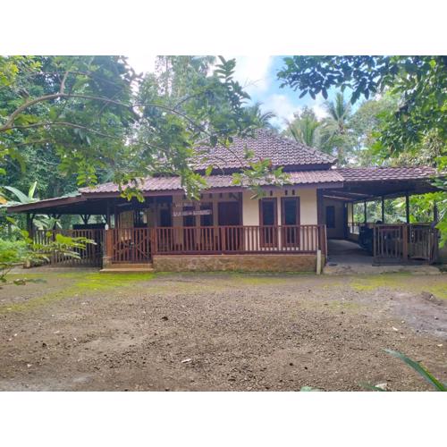 Villa Ndelik Ijen