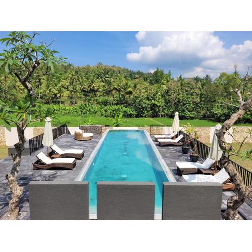 Villa Norwegia - pool with panorama rice field view