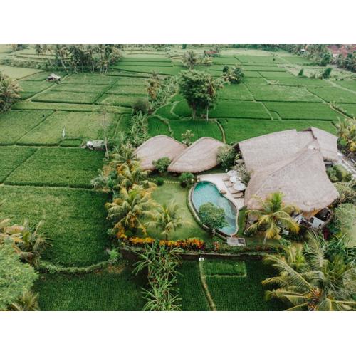 Villa Omah Padi Ubud by Adam Jyota Management