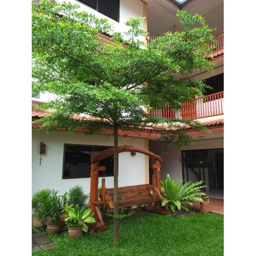 Villa Oranje Chiang Mai