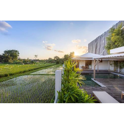Villa Rice - Amazing Rice-Field VIEW 3BR Villa 9px Next To Canggu