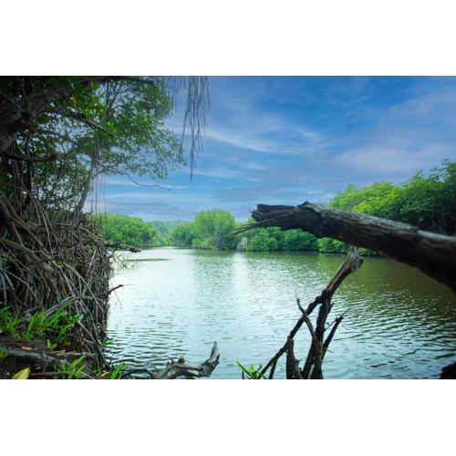 Villa sea secret unawatuna