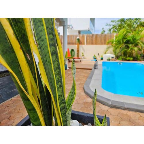 Villa Ti CoCo Elegant Tropical Villa with Pool and Terraces