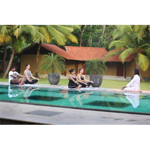 Villa Velmarie Yoga and Ayurveda house all inclusive