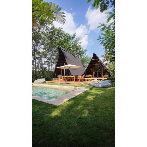 Villa Verde the garden